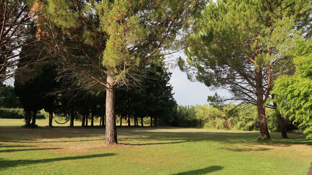 Photo of Outdoor in St.-Remy-de-Provence