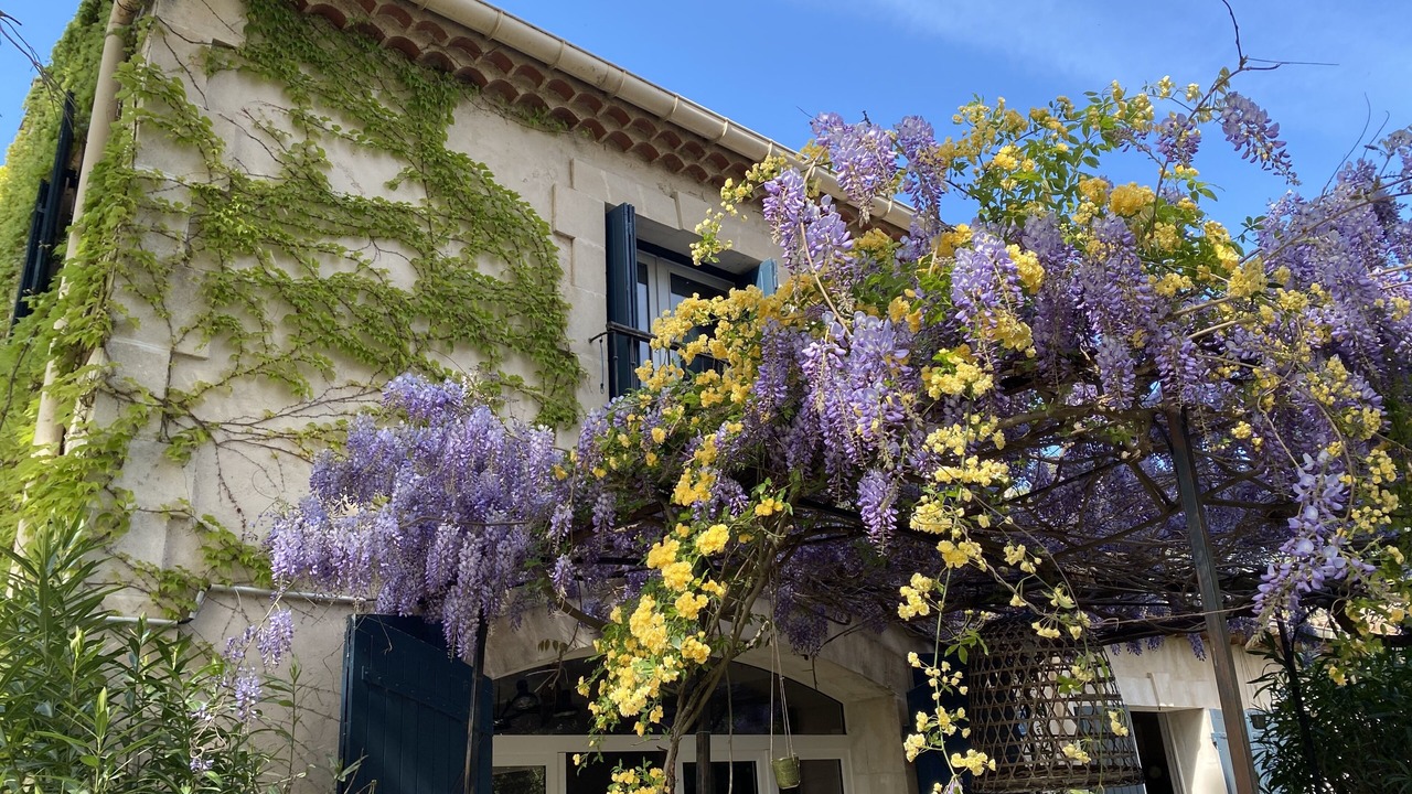 Photo of Outdoor in St.-Remy-de-Provence