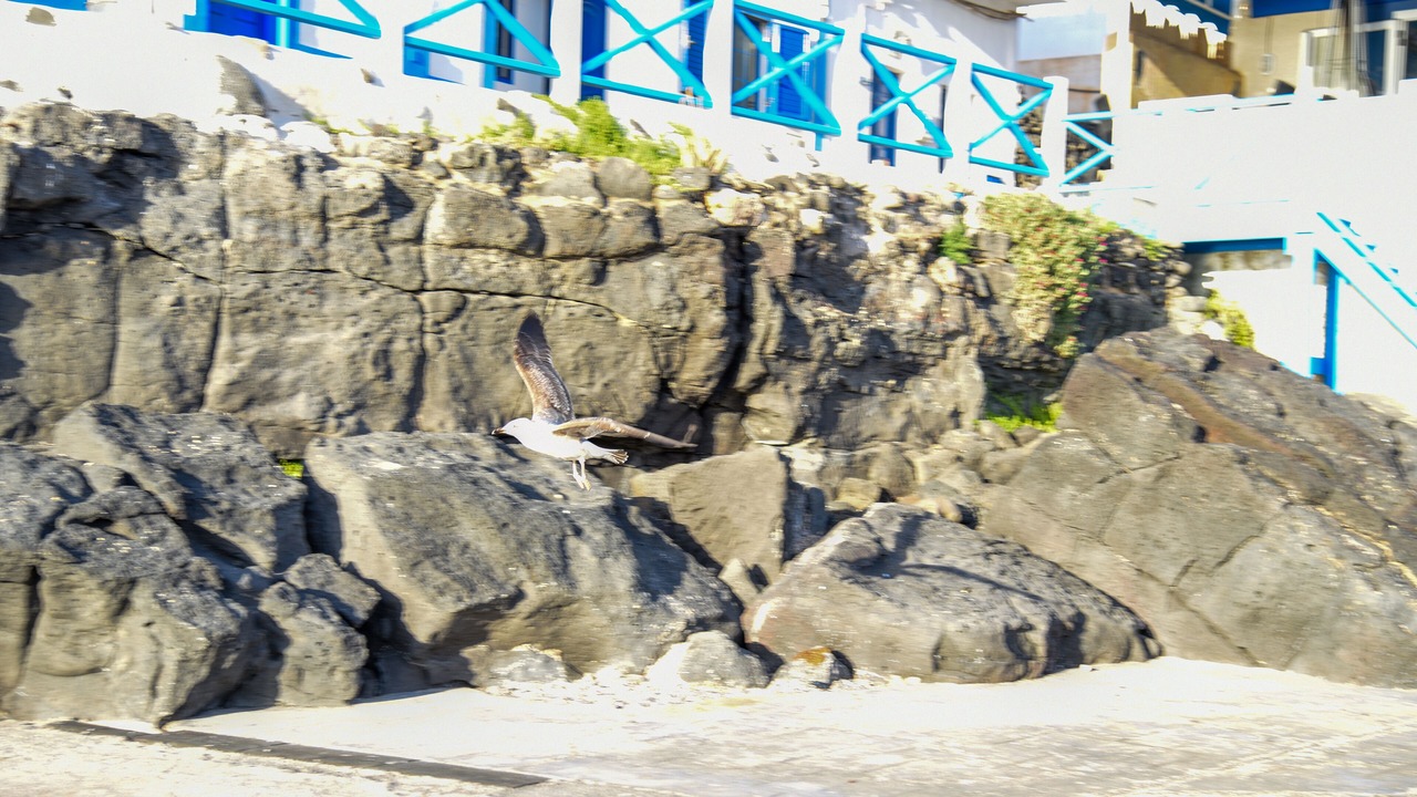 Photo of Others in Los Lagos