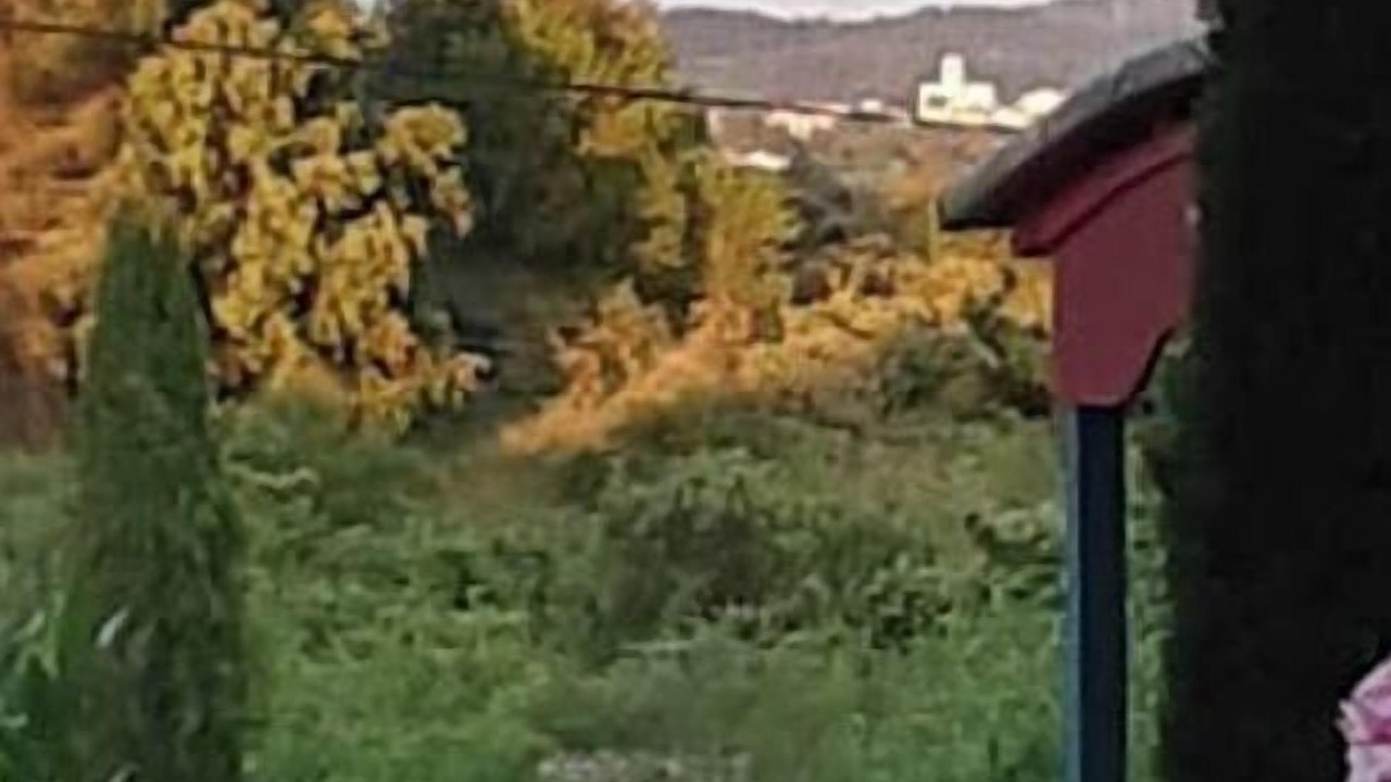 Photo of Outdoor in Alleins