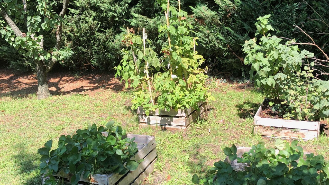 Photo of Outdoor in Plan-d'Orgon