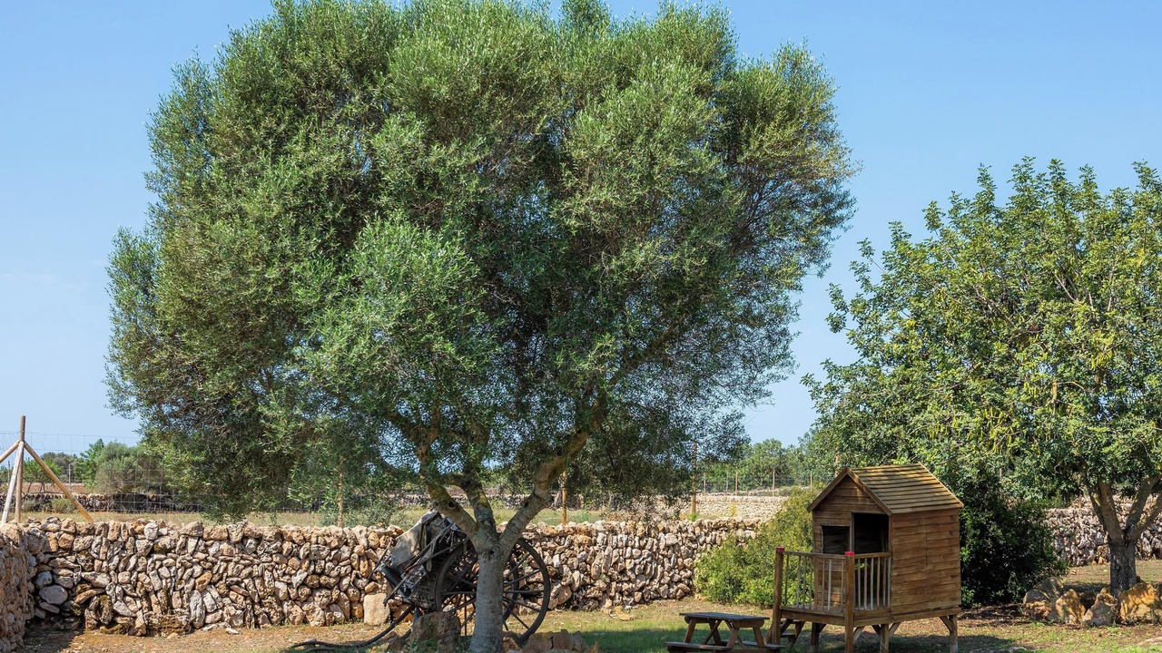 Photo of Outdoor in Llucmajor
