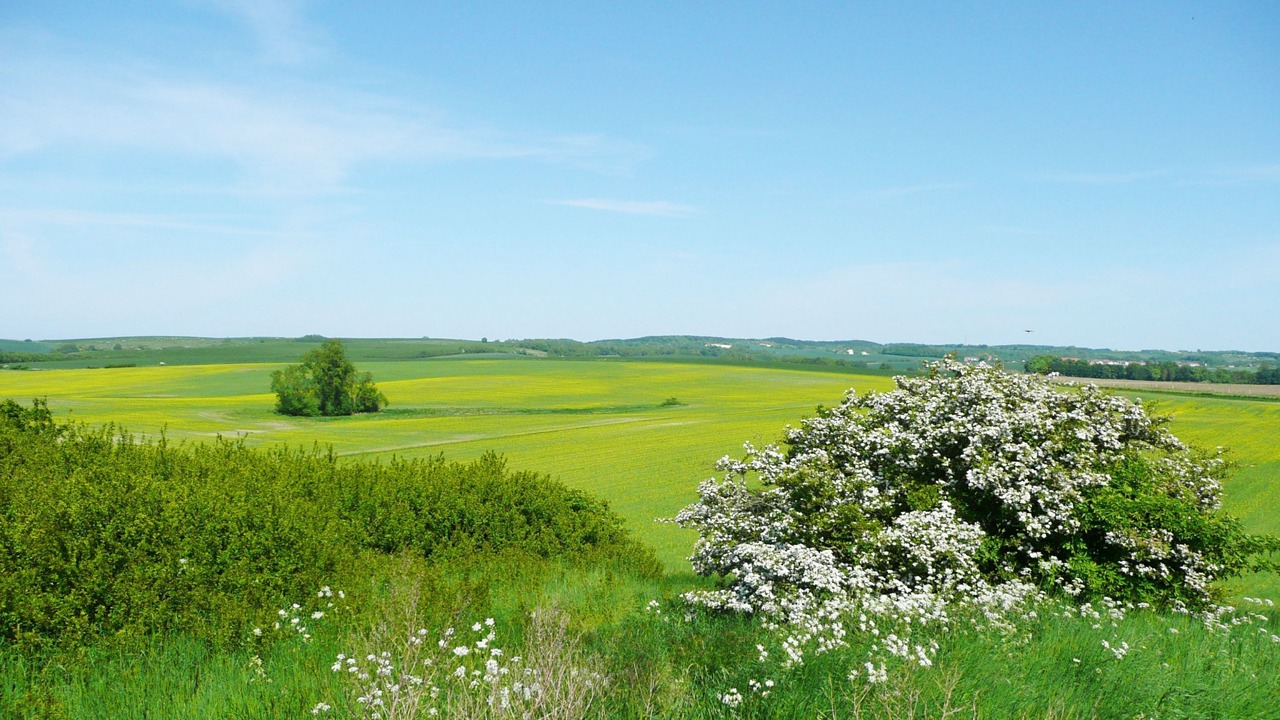 Photo of Others in Lietzow