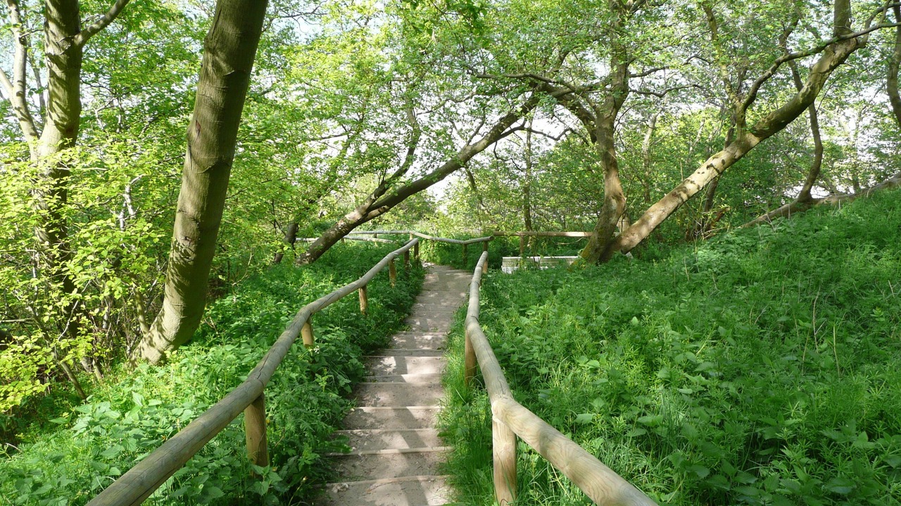 Photo of Outdoor in Neddesitz