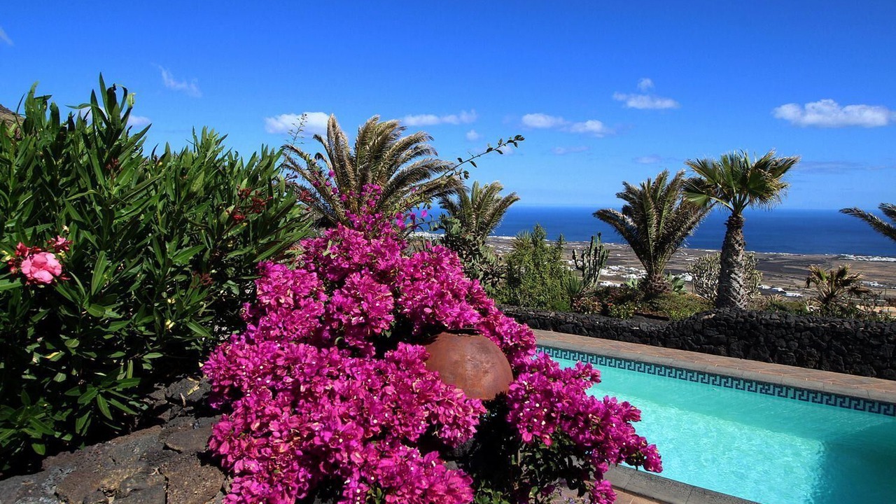 Photo of Outdoor in La Asomada