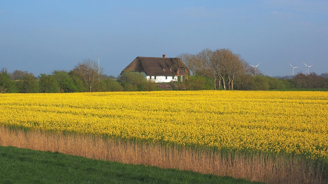 Photo of Outdoor in Osterdeich