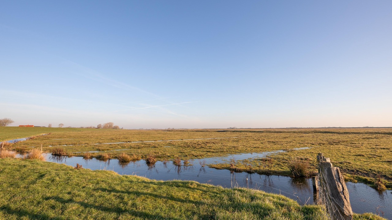 Photo of Outdoor in Oldenswort