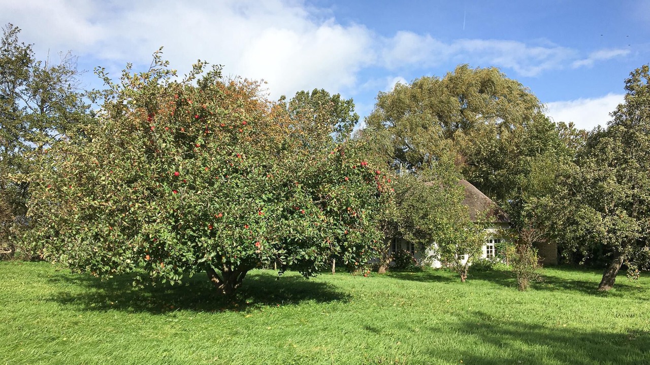 Photo of Outdoor in Schulp