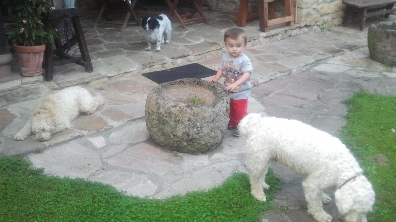 Photo of Outdoor in Lamadrid