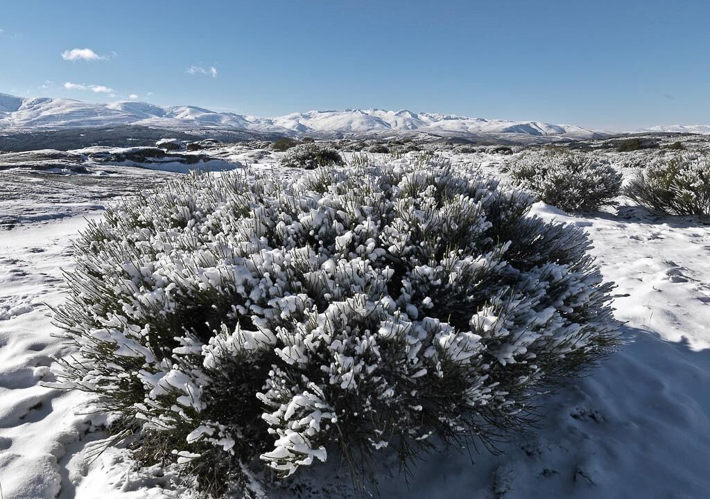 Photo of Others in Navarredonda de Gredos