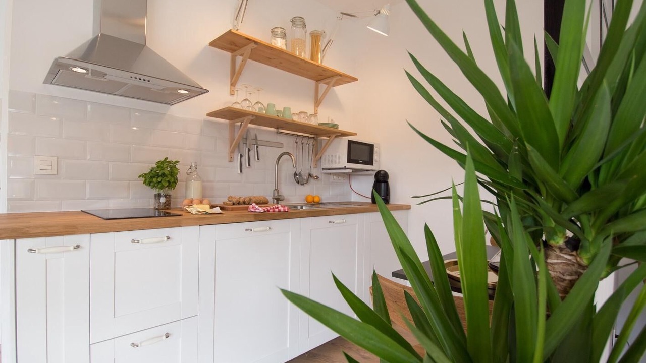 Photo of Kitchen in Vegueta