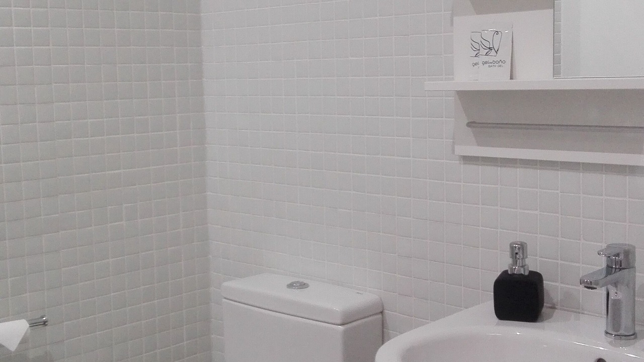 Photo of Bathroom in Lierganes