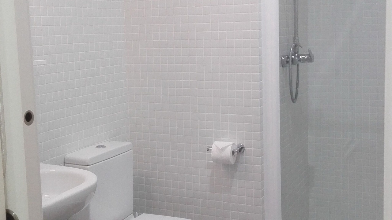 Photo of Bathroom in Lierganes