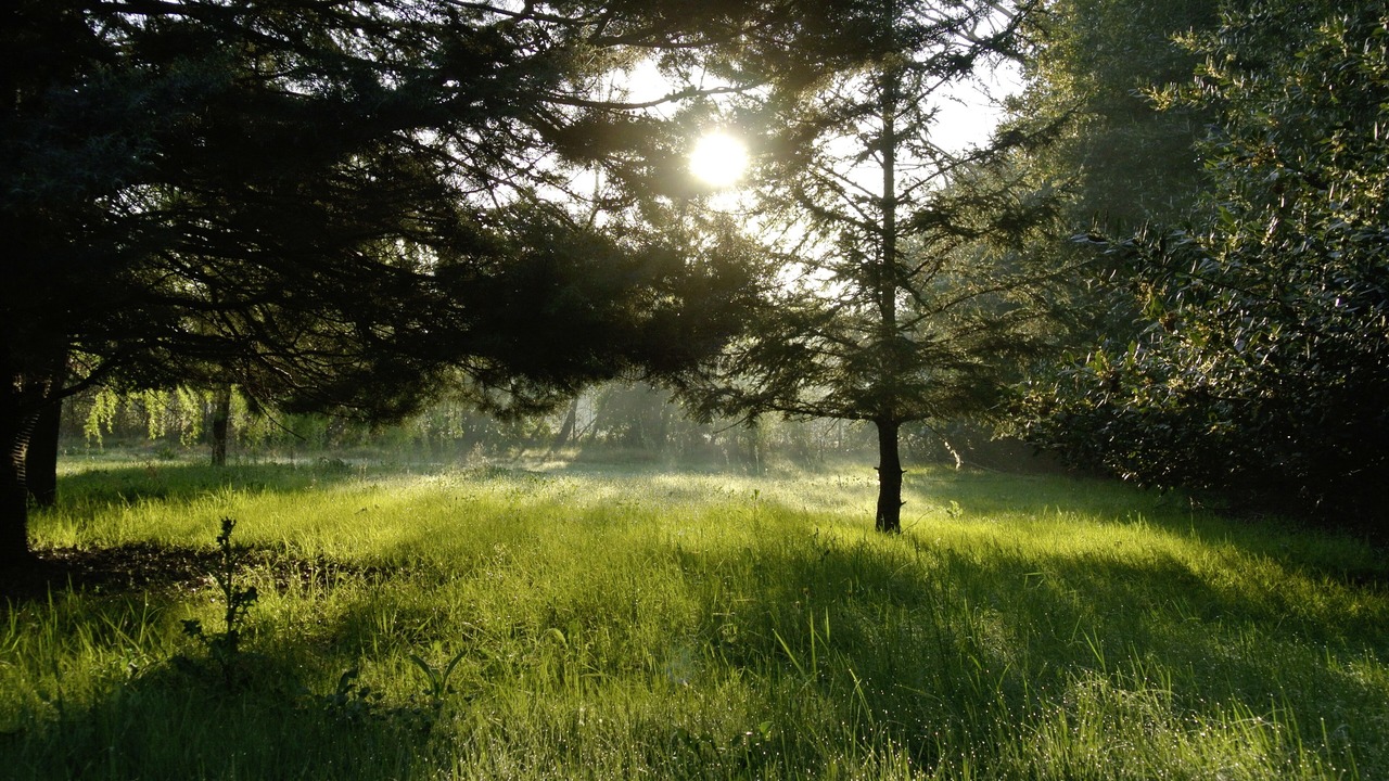 Photo of Outdoor in Avignon