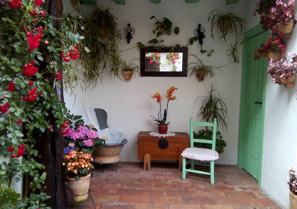 Photo of Others in San Basilio
