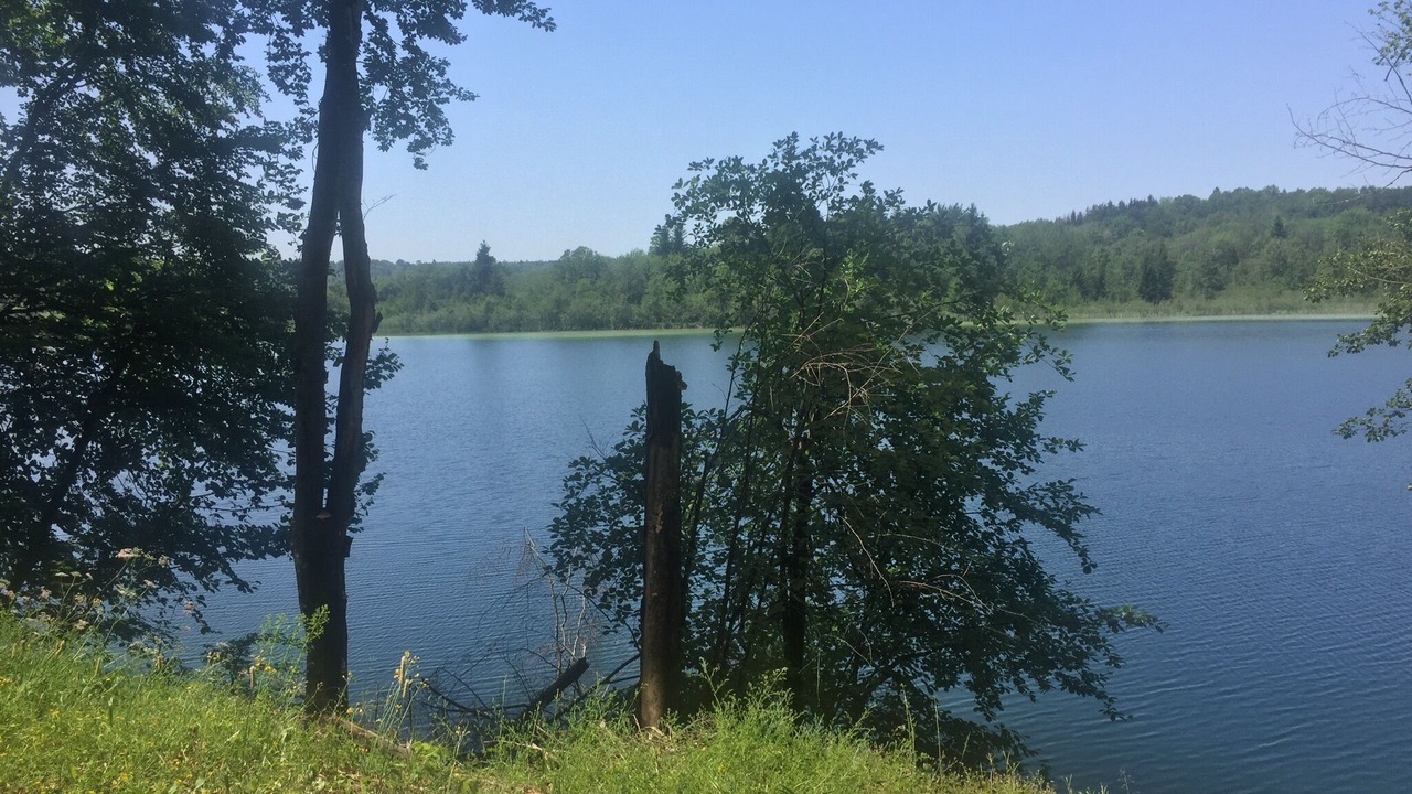 Photo of Outdoor in Bonlieu