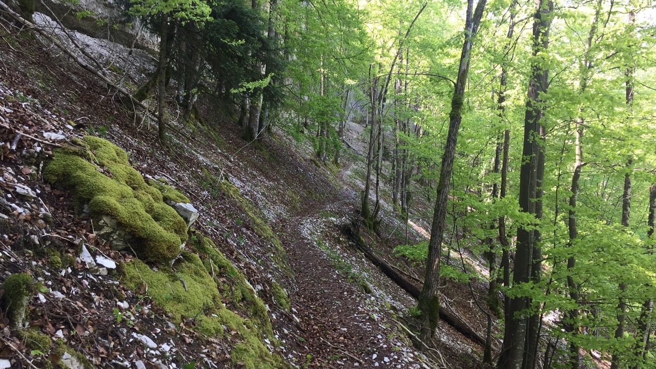 Photo of Outdoor in Bonlieu