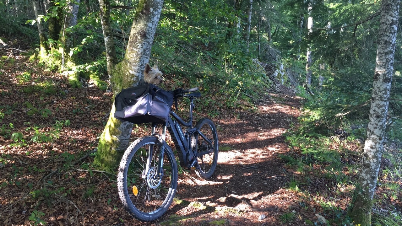 Photo of Outdoor in Bonlieu