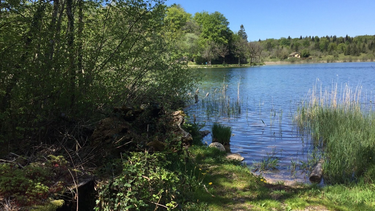 Photo of Outdoor in Bonlieu