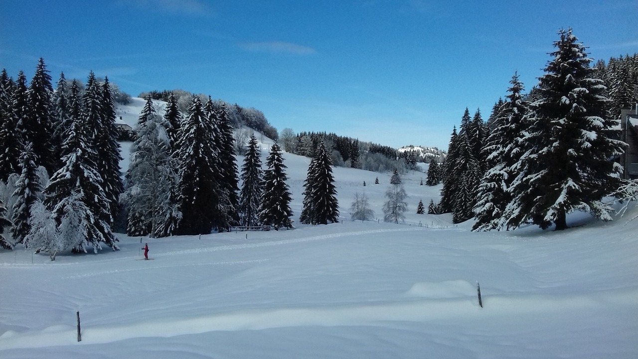 Photo of Others in La Pesse