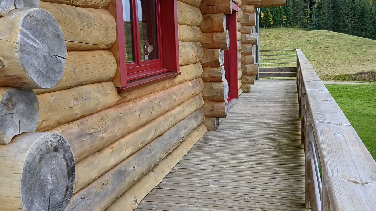Photo of Patio Balcony in La Pesse