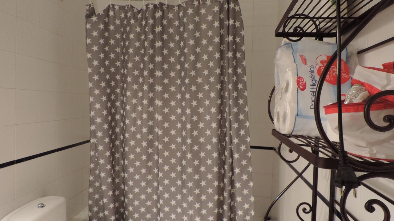 Photo of Bathroom in Infanta Isabel