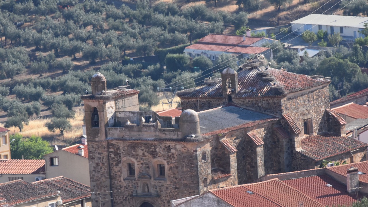 Photo of Outdoor in Infanta Isabel