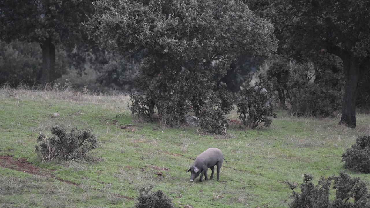 Photo of Outdoor in Infanta Isabel