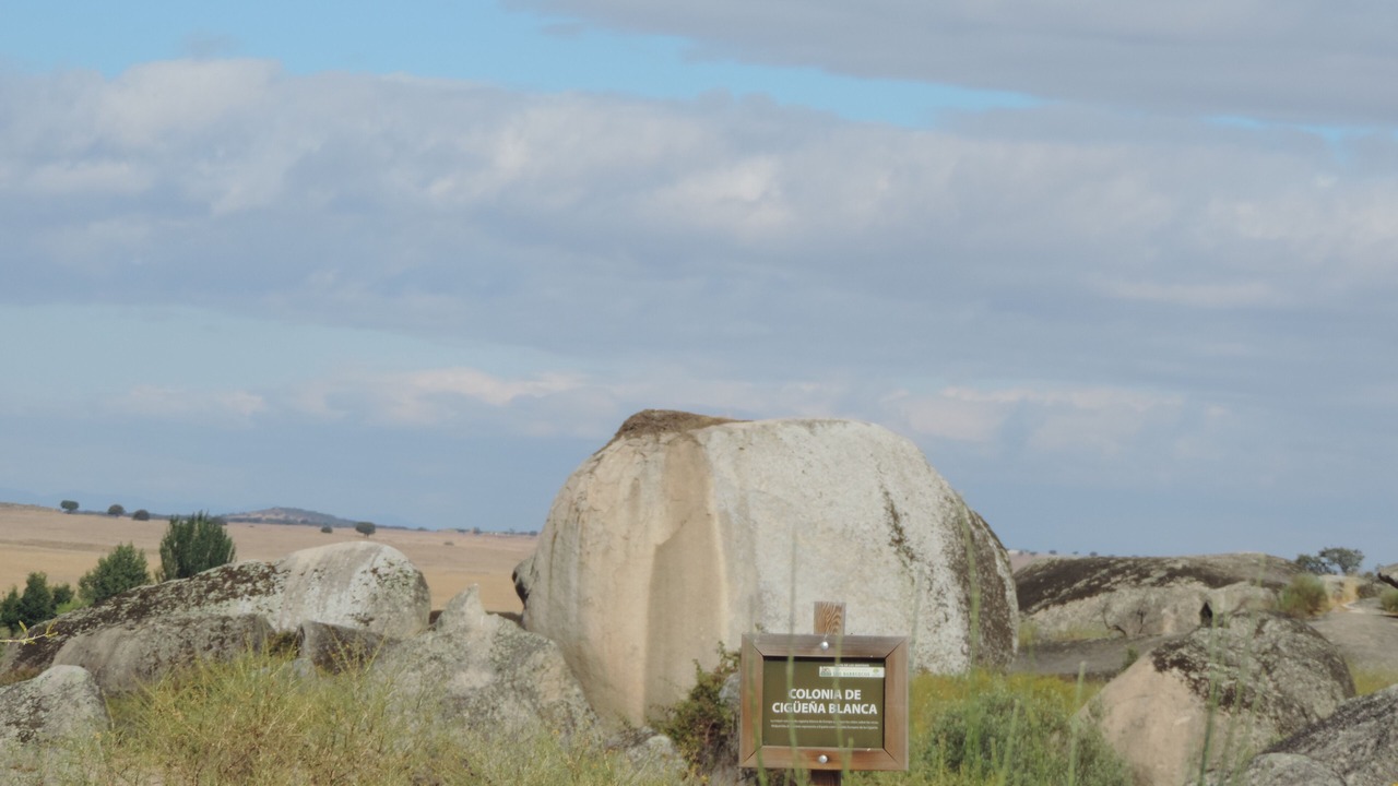 Photo of Outdoor in Infanta Isabel