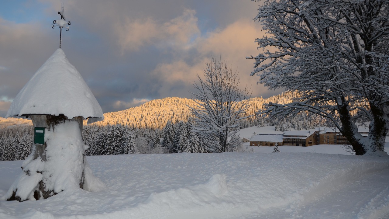 Photo of Outdoor in Les Moussieres