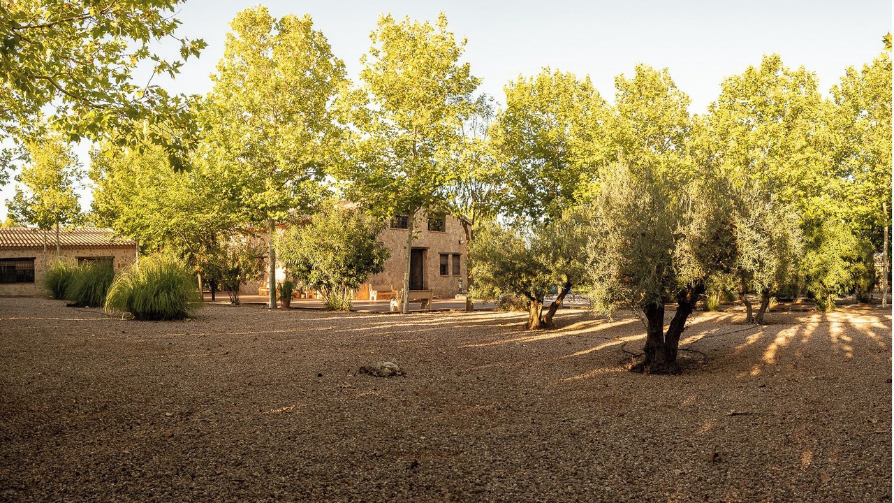 Photo of Outdoor in Mota del Cuervo