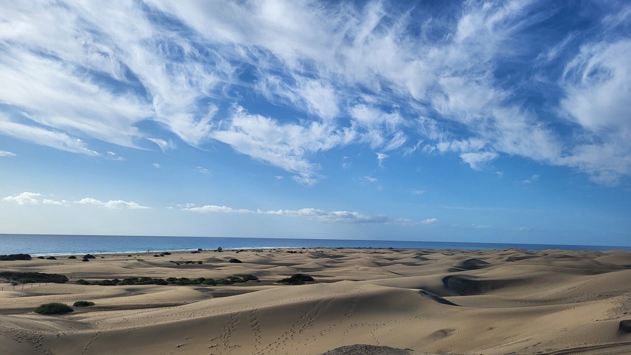 Photo of Others in Maspalomas