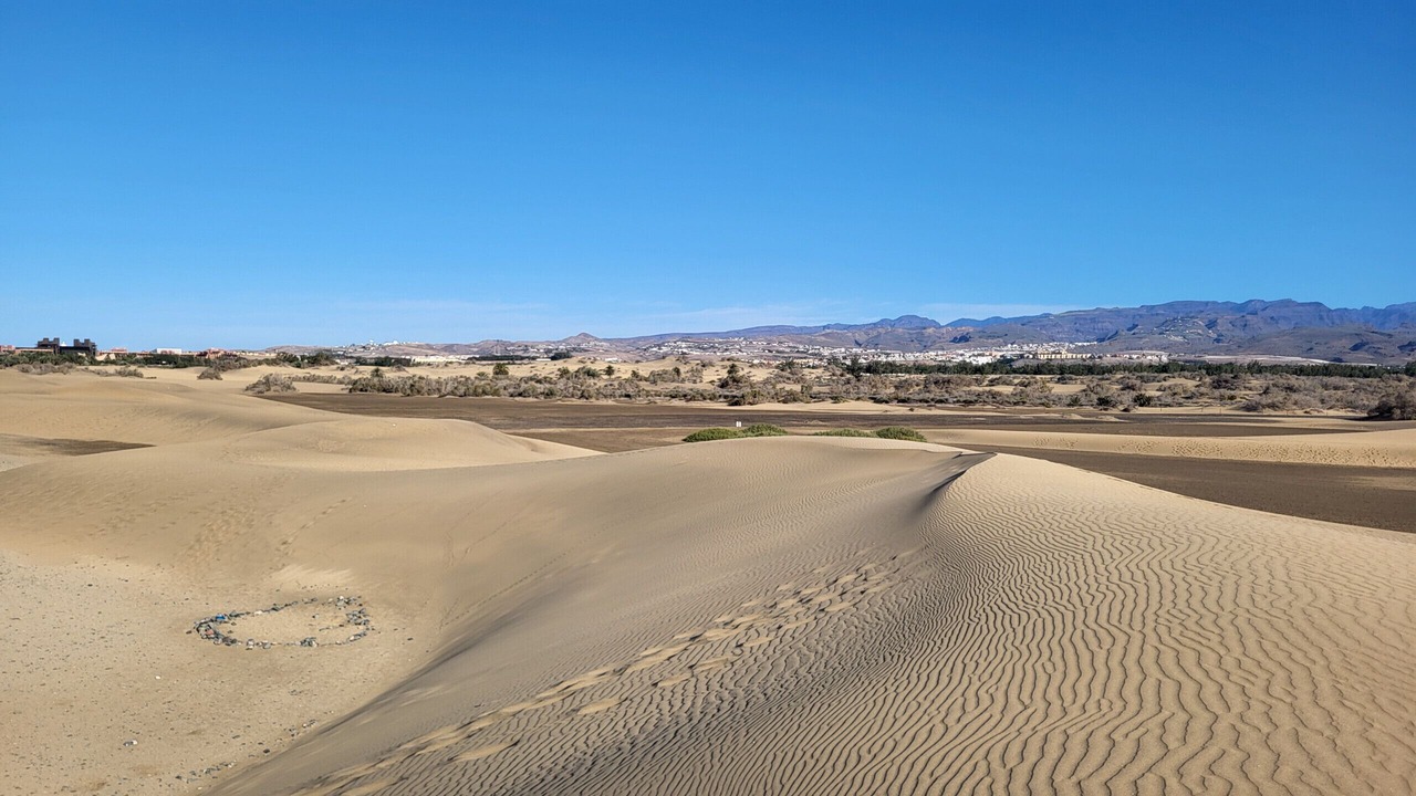 Photo of Others in Maspalomas