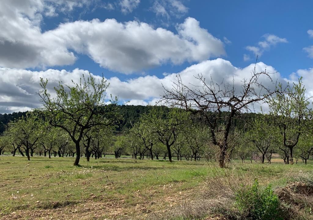 Photo of Outdoor in Fuentespalda