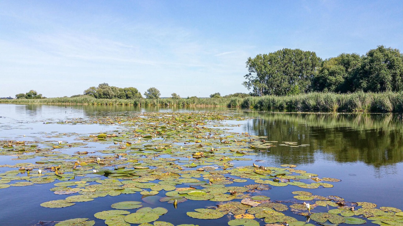 Photo of Others in Fohrde