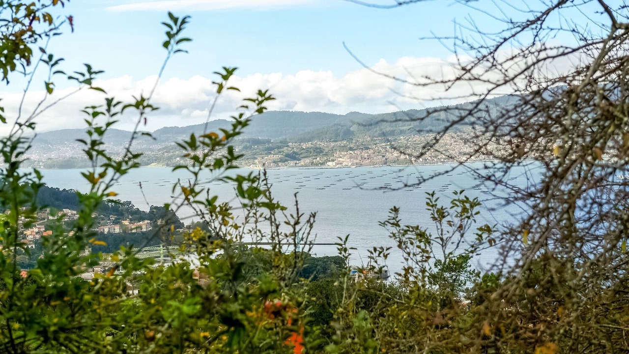 Photo of Outdoor in Vigo