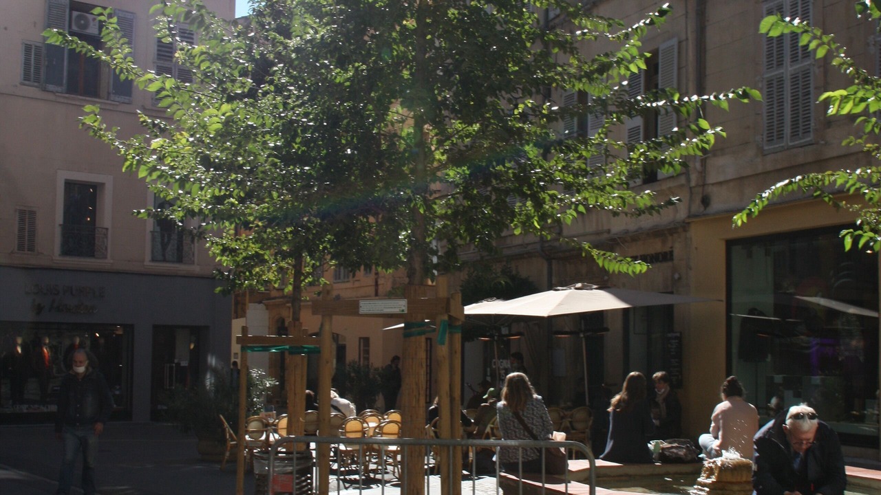 Photo of Outdoor in Le Puy-Sainte-Reparade