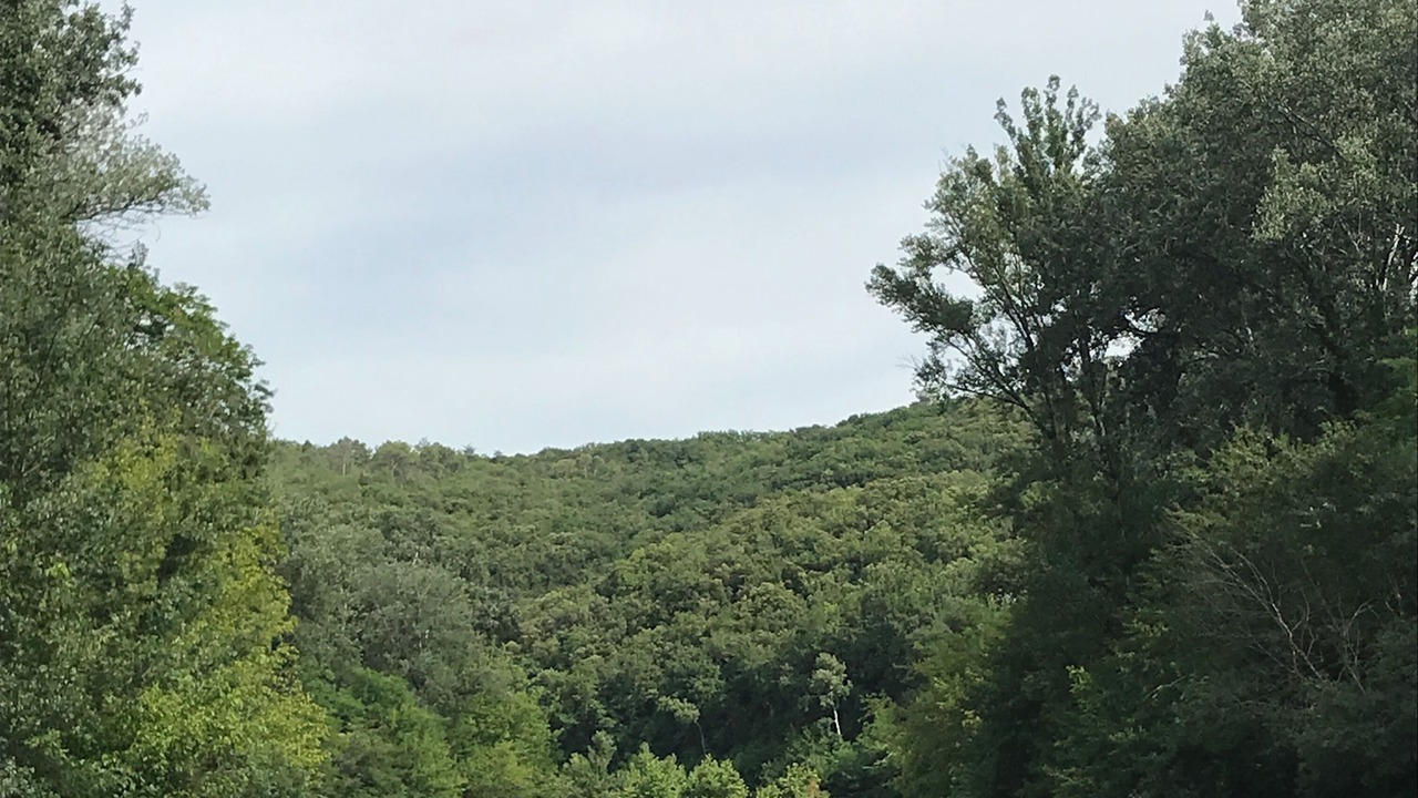 Photo of Outdoor in Cornillon