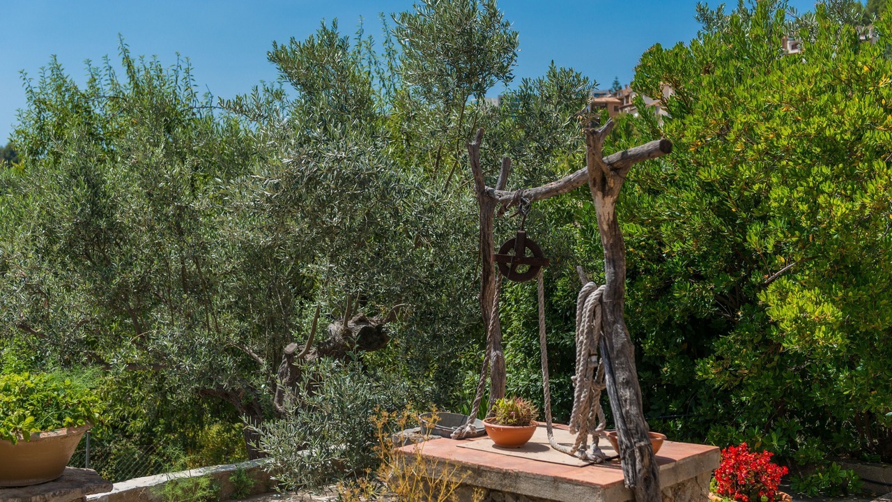 Photo of Outdoor in Soller