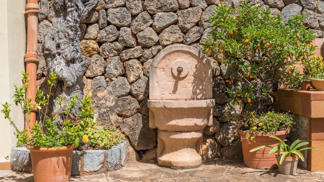 Photo of Outdoor in Soller