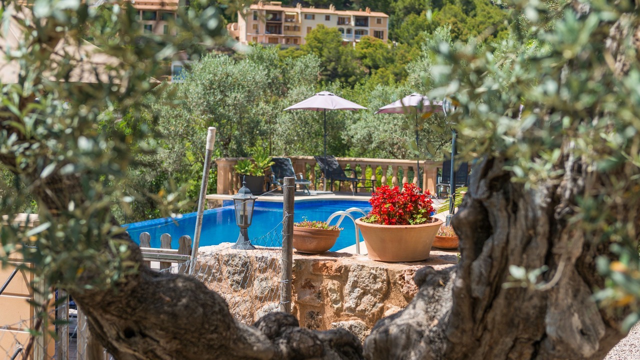 Photo of Outdoor in Soller