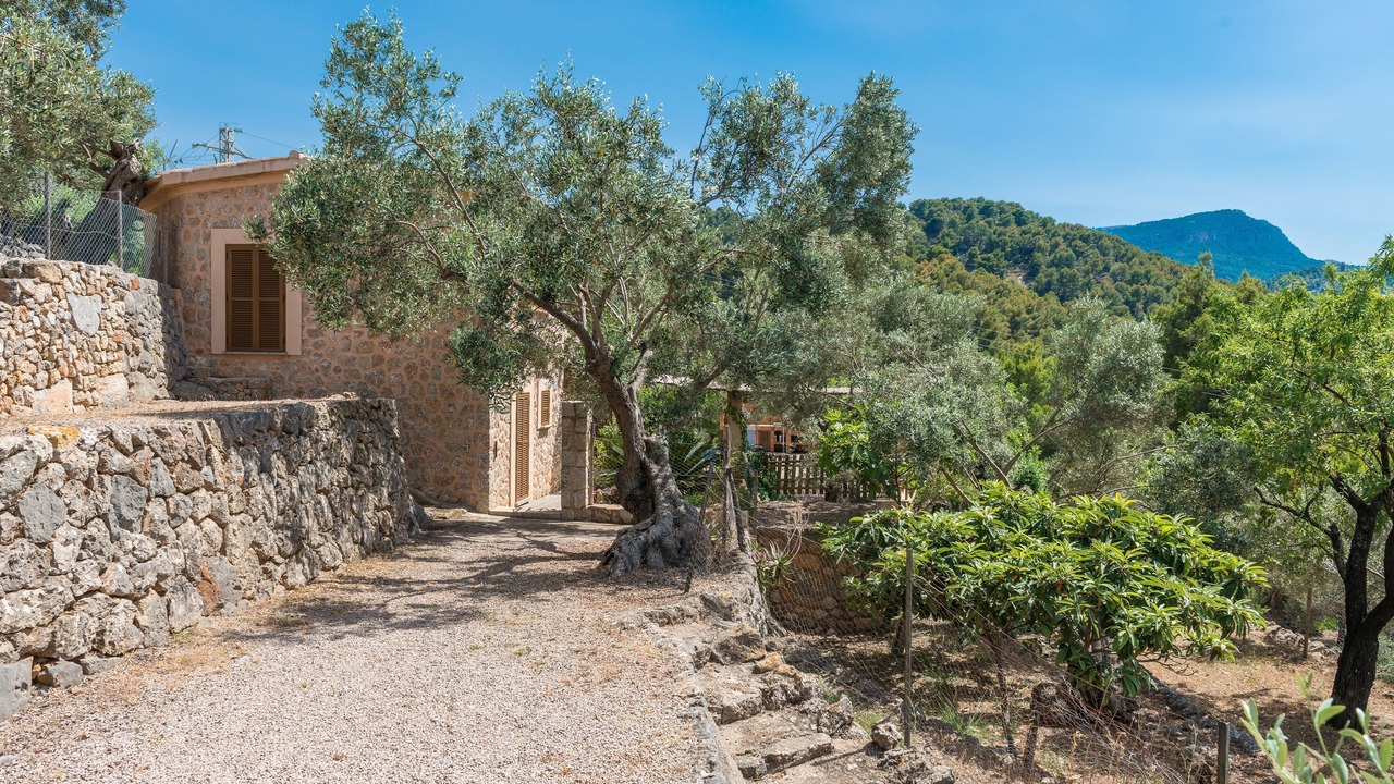 Photo of Outdoor in Soller