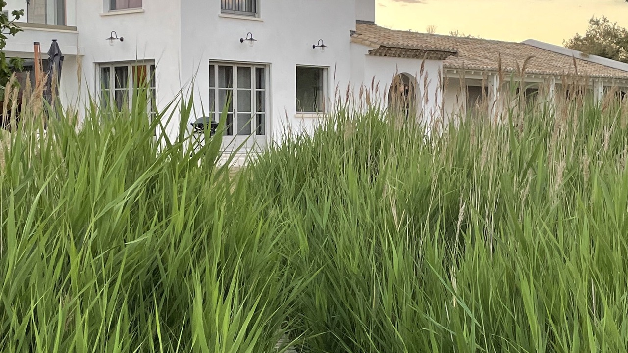 Photo of Outdoor in Saintes-Maries-de-la-Mer