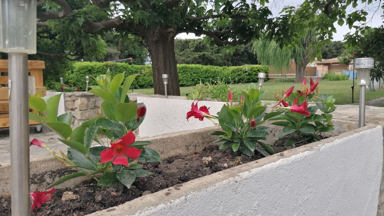 Photo of Outdoor in Jonquieres-Saint-Vincent
