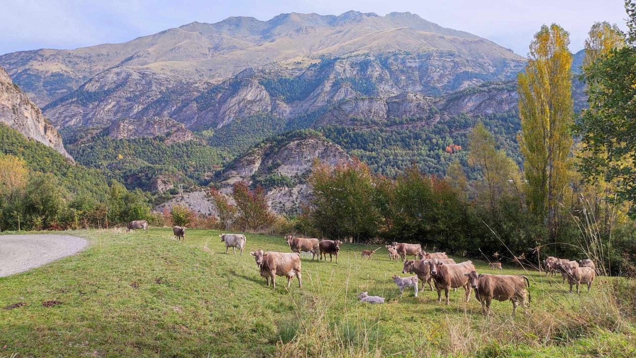 Photo of Outdoor in Escarrilla