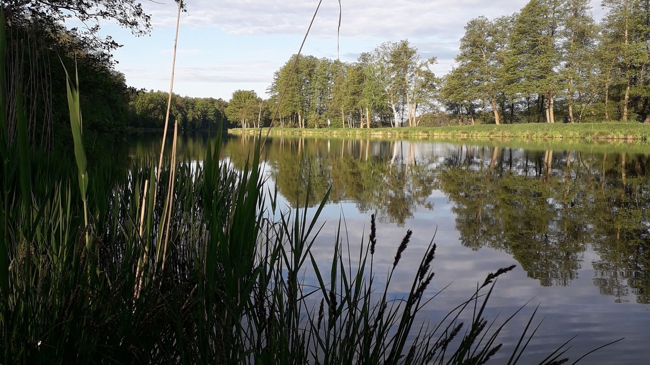 Photo of Outdoor in Oberhavel