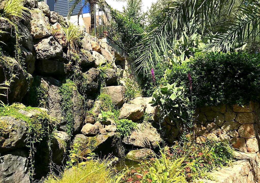 Photo of Outdoor in Soller