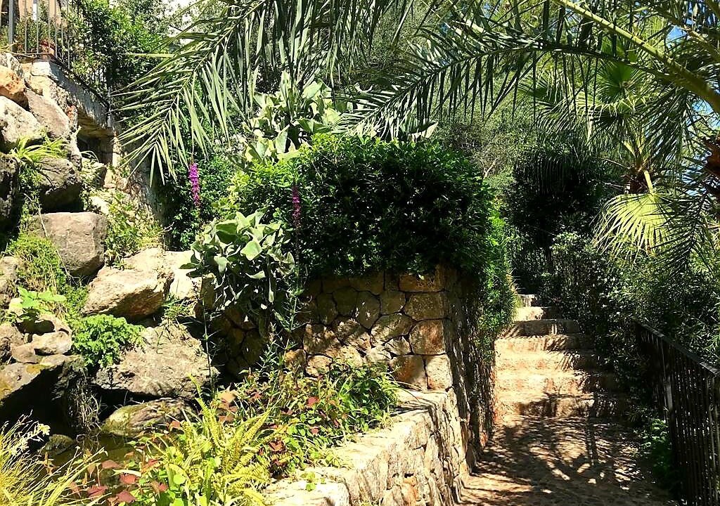 Photo of Outdoor in Soller