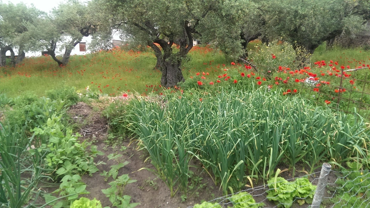 Photo of Outdoor in Villar de Plasencia