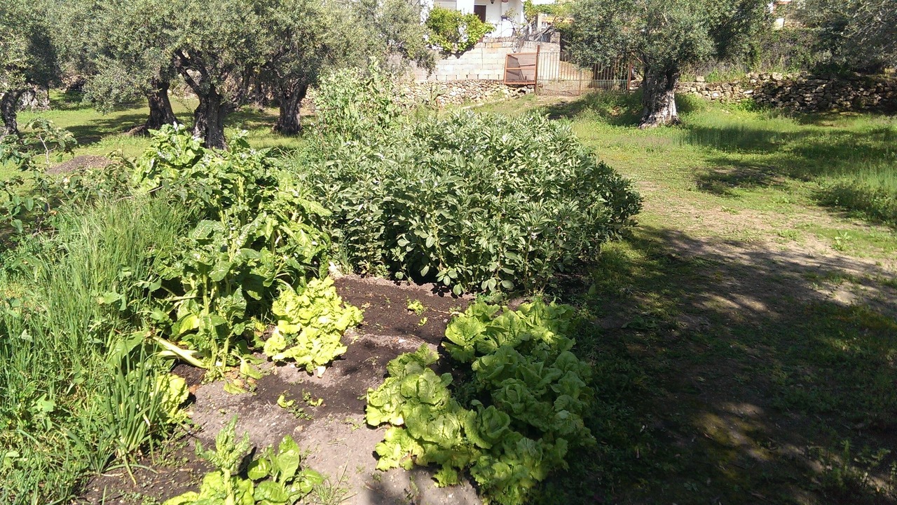 Photo of Outdoor in Villar de Plasencia